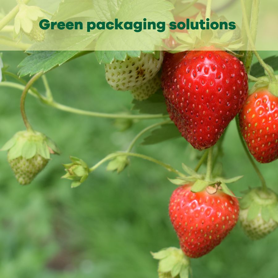 Green packaging solutions for agrochemical products